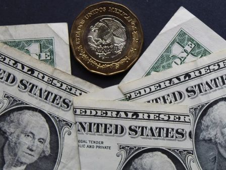 El dólar se apreció durante la mitad de mayo de 2026 | Freepik