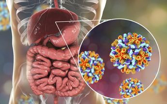 Conoce qué es la hepatitis, cómo se contagia y síntomas | Archivo