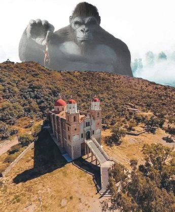 Gorila | Cortesía