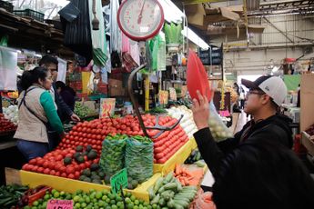 Distintas variedades de jitomates pueden hallarse en los mercados mexicanos por precios por encima de los 30 pesos por kilo / Especial