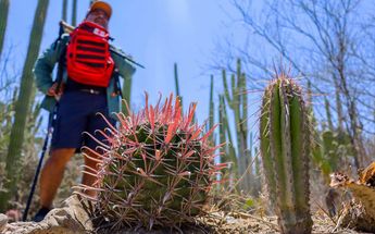 Ramón Montero es guía federal y creó una ruta turística por la Reserva de la Biosfera Tehuacán Cuicatlán | Anel Esgua | Es Imagen