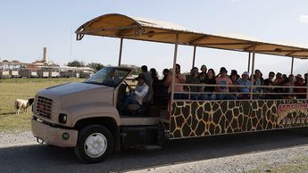 Entre las atracciones del Bioparque Estrella se encuentra el recorrido Serengeti Safari. | Especial