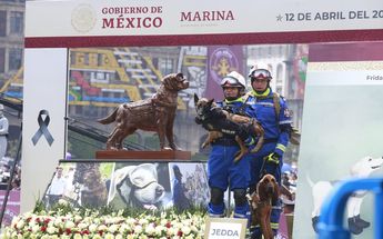 Binomios caninos en Desfile Militar 2023/ Juan Carlos Bautista