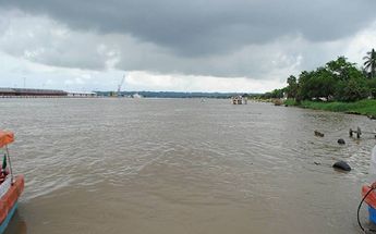 Río Pánuco | Cortesía