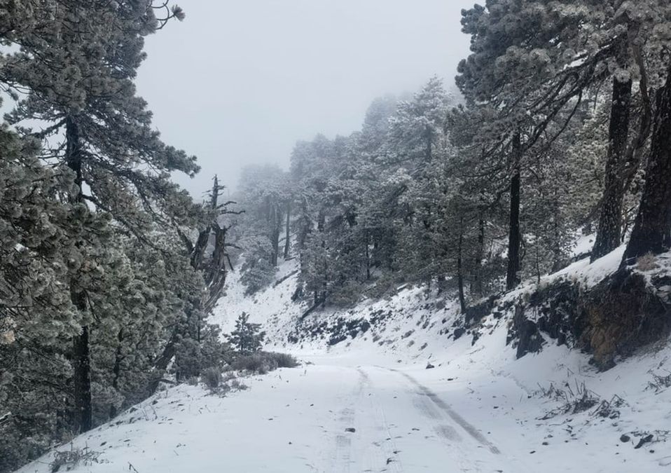 Galeana y Zaragoza se 'pintan' de blanco tras caída de agua nieve / Cortesía