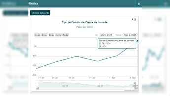 El dólar no dejó de subir toda esta semana frente al peso / Archivo.