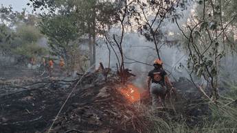 Incendio Rio Santa Catarina entre la maleza en Monterrey