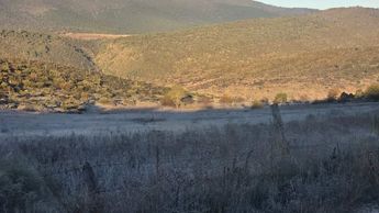 Se registró escarcha sobre la vegetación del ejido San Ildefonso en Galeana. | Cortesía PCNL