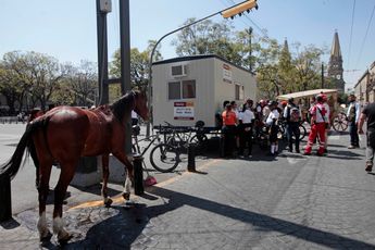 El caballo fue revisado y no presentó daños. | Telediario Especial