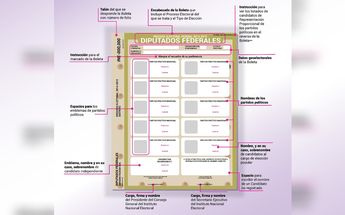 Todas las boletas electorales cuentan con los mismos elementos / Captura.
