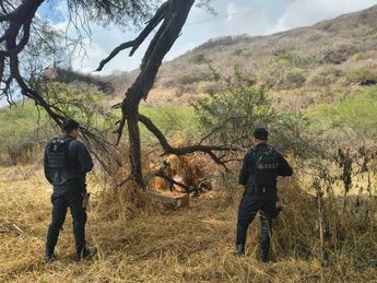 El hallazgo ocurre tras el robo de nueve armas y 170 mil pesos de la Comisaría por una presunta estafa telefónica