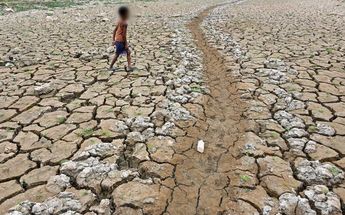 Debido al calor, algunas zonas comienzan a secarse en el mundo / AFP
