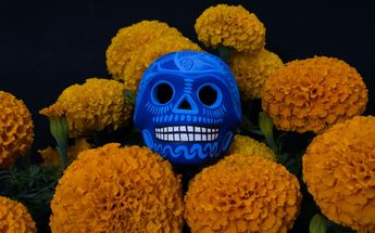 La flor de cempasúchil tenía también un uso medicinal, usándose para aliviar malestares del vómito, diarrea e indigestión | Pexels