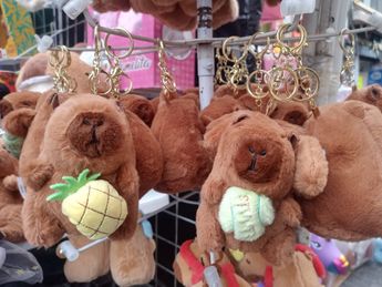Peluches y juguetes de capibara es lo más vendido en Puebla durante 2024 / Leslie Mora