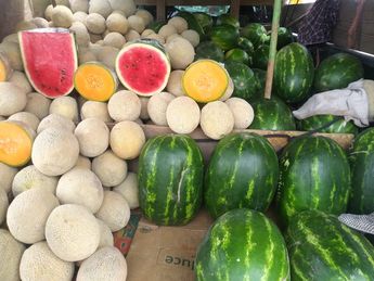 Productores de melón y sandía no arrancaron con buena temporada
