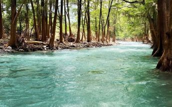 Familias regias acuden al río Ramos en vacaciones. | Especial
