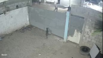 Revelan videos de cámaras de seguridad sobre el feminicidio de Nora Cecilia en Torreón