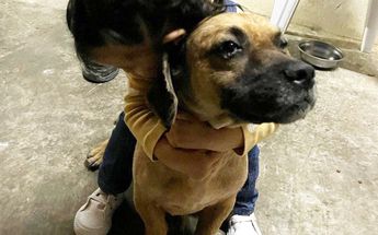 Don Ramón y su perrito 'Pachón' | Especial