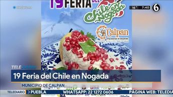 Feria del chile en nogada edición 19 en Calpan