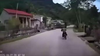 Abuelito muere al caer de su bicicleta y ser atropellado por un camión en Vietnam| VIDEO