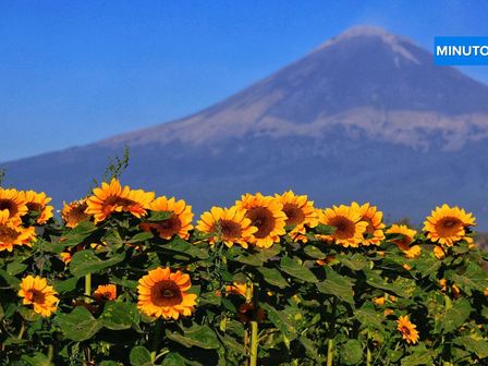 El semáforo de alerta volcánica del Popocatépetl está en Amarillo Fase 2 HOY 6 de mayo 2025 / Andrés Lobato