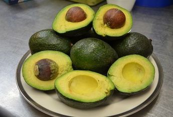 México se consolida como primer productor de aguacate en el mundo