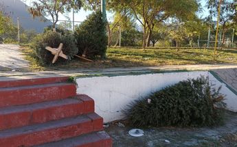El centro de acopio en la colonia Ancon del Huajuco ya tiene algunos árboles. | Erik Solheim Rocha