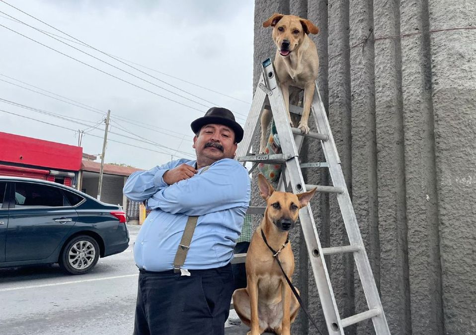 Miel y Lily, perritas que se ganan la vida junto a su dueño con acrobacias en cruceros. | Víctor González