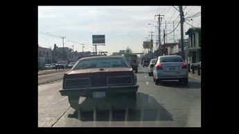 Captan a ratón corriendo sobre un automóvil en movimiento en León