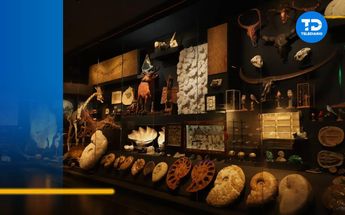 Museo La Milarca / Roberto Alanís
