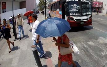 Durante 2024, en México hubo 331 muertes por calor. | Archivo