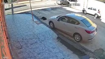 VIDEO / Cámaras captan a automovilista que atropelló y arrastró a perrito dormido en Torreón
