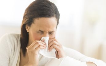 Alergias más comunes y sus síntomas