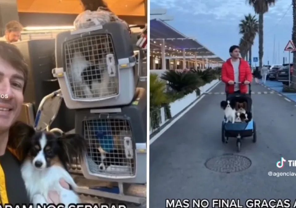 Hombre recupera a perritos que perdió por culpa de una aerolínea: "Gracias a Dios se solucionó todo"