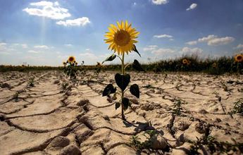 La Niña podría traer un tiempo más seco a las regiones productoras de cereales | ESPECIAL