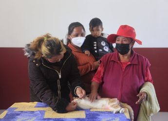 Unas mujeres cuidan a su gato que acaba de ser esterilizado / Andrés Lobato