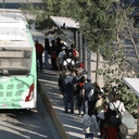 Imagen de ¿Transporte gratis NL?