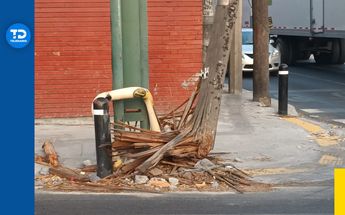 Poste dañado riesgo en avenida Ruiz Cortines | Fabricio Gallegos