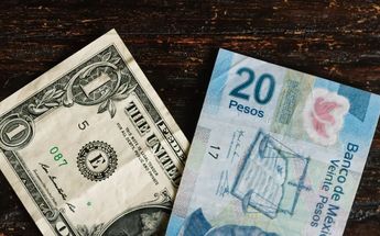 Precio dólar 19 de julio 2022 / Shutterstock