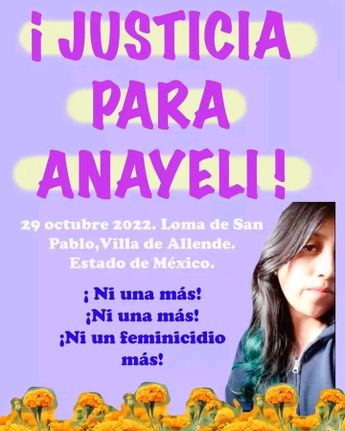 Pancartas para pedir justicia por Anayeli /Especial