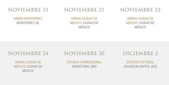 Concierto Luis Miguel / Especial