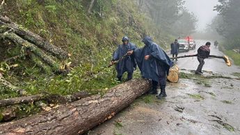 Lluvias provocan deslaves, caídas de árboles y accidentes en Sierra Norte de Puebla