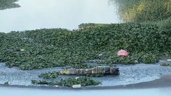 Los reportes alertaba de una silueta humana al interior de unas bolsas de plástico | Juan Carlos Munguía