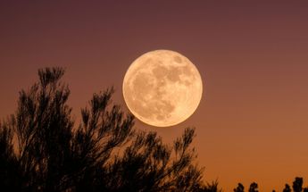 La luna llena es un espectáculo astronómico que no puedes perderte.