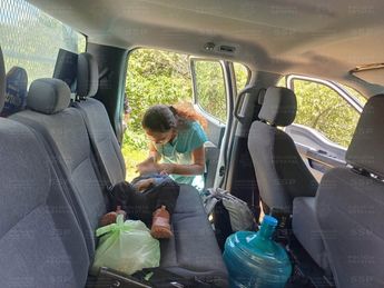 Debido a la lejanía y a los estragos del veneno, la doctora Ariana Botello fue trasladada de urgencia por los agentes para suministrar el medicamento