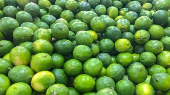 Precio del aguacate y el limón BAJAN en Nuevo León