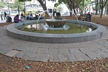 El agua verde y descuidada resalta en algunas de las fuentes que sí funcionan, aunque descuidadas / Melanie Torres