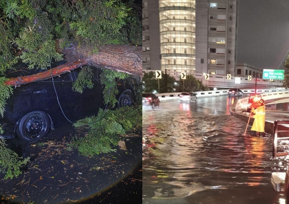 Debido a las lluvias, bomberos de la Ciudad de México reportaron la caída de 25 árboles | X: @ClaraBrugadaM | X: @JefeVulcanoCova
