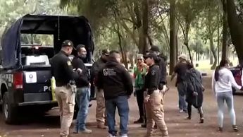 Hallan a perrita torturada en Bosque de Nativitas