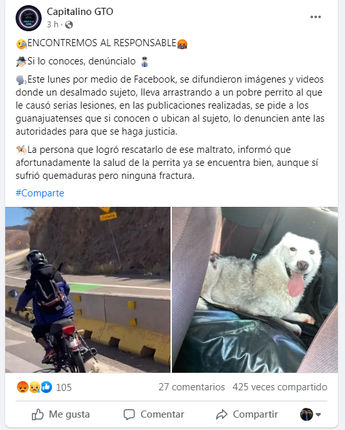 Sujeto amarra y arrastra a perro en motocicleta por carretera de Guanajuato | Cortesía Capitalino Gto